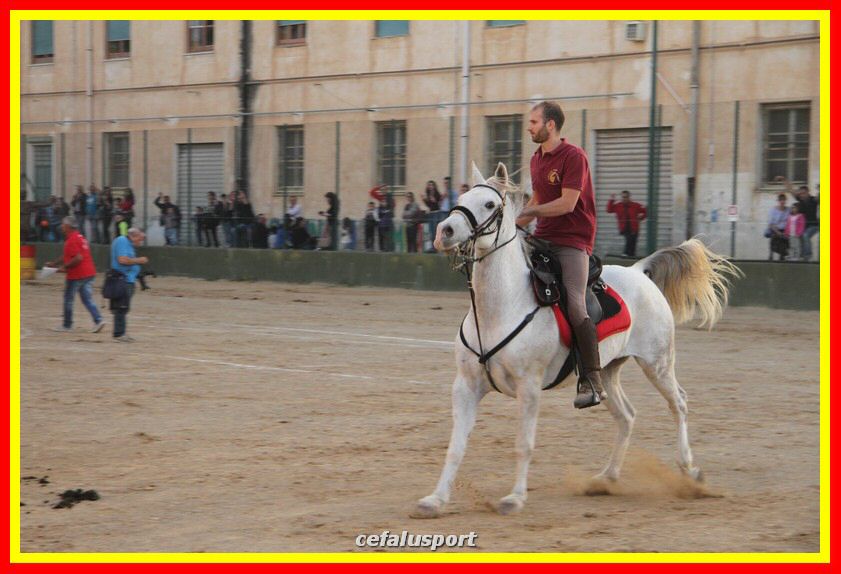161106 equestre 018_tn.jpg